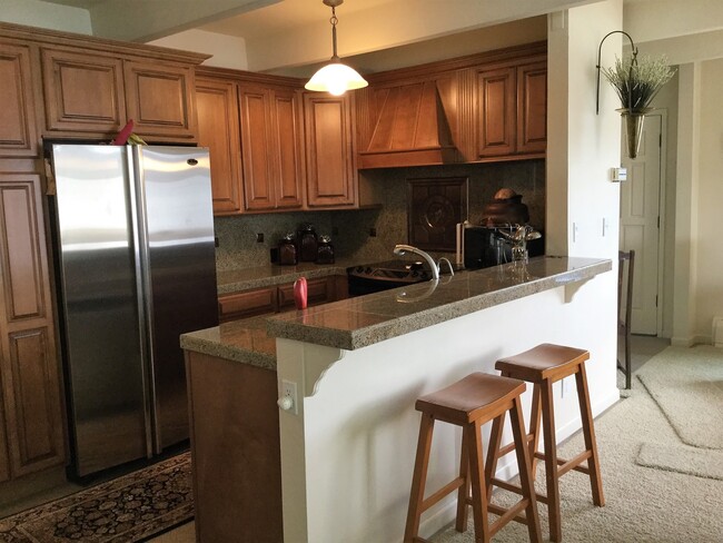 575 Tenderfoot St in Dillon, CO - Building Photo - Building Photo