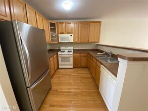 1045 Maiden Ln in Ann Arbor, MI - Building Photo - Building Photo