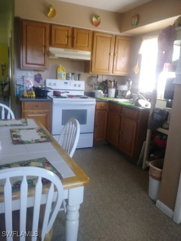 1073 San Remo Ave in Naples, FL - Building Photo - Building Photo