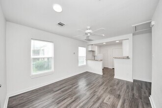 233 N Carolina St in Houston, TX - Building Photo - Building Photo