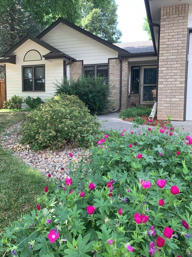 2213 Coventry Ct in Fort Collins, CO - Building Photo - Building Photo