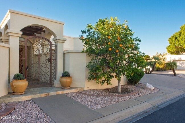 6945 E Glenrosa Ave in Scottsdale, AZ - Building Photo - Building Photo