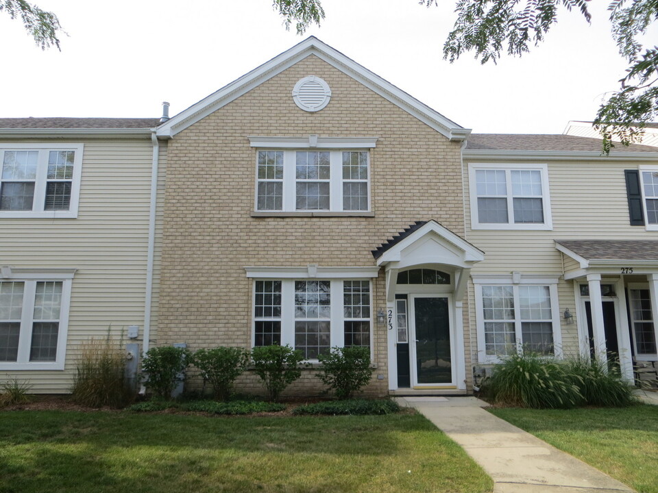 273 Springbrook Trail S in Oswego, IL - Building Photo