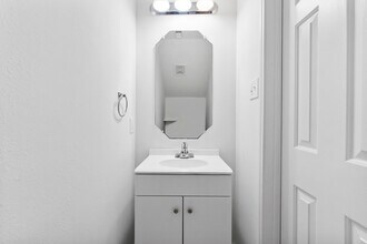 143 Anise Tree Pl in Spring, TX - Building Photo - Building Photo