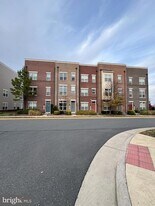 42658 Alicia Terrace in Ashburn, VA - Building Photo