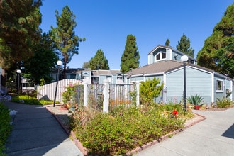 Willow Glen Apartments in Hercules, CA - Building Photo - Building Photo