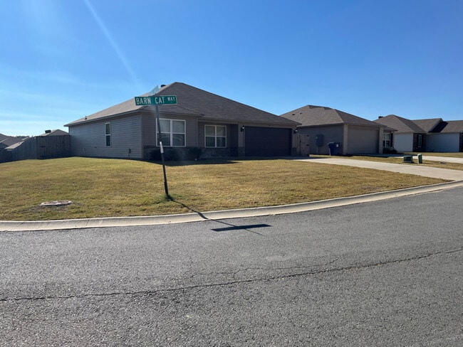 36 Barn Cat Wy in Conway, AR - Building Photo - Building Photo