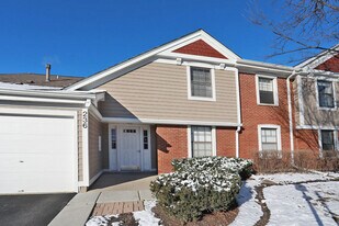 236 Deerpath Ct in Schaumburg, IL - Building Photo