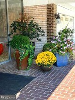 401 Cooper Landing Rd in Cherry Hill Township, NJ - Building Photo