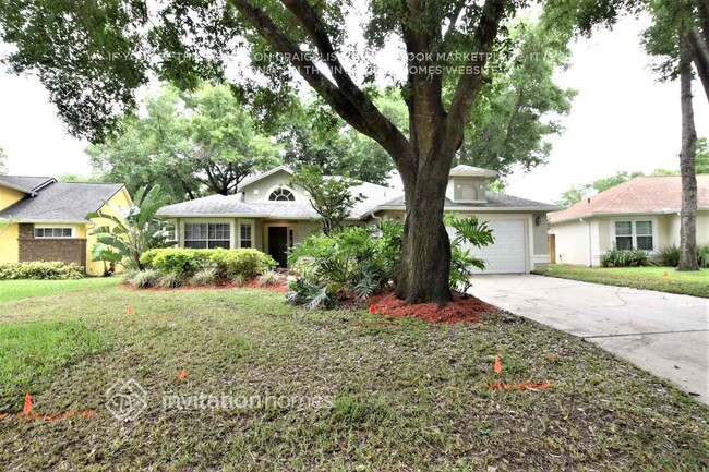 property at 1347 American Elm Dr