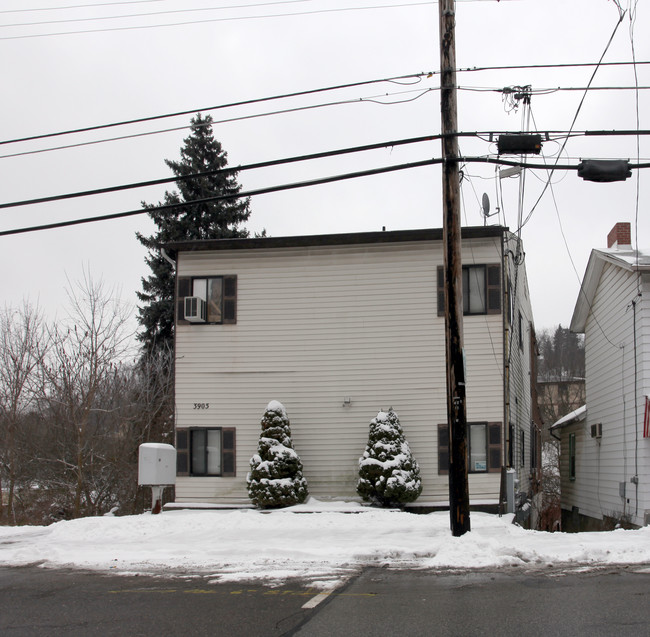 3905 Willow Ave in Pittsburgh, PA - Foto de edificio - Building Photo