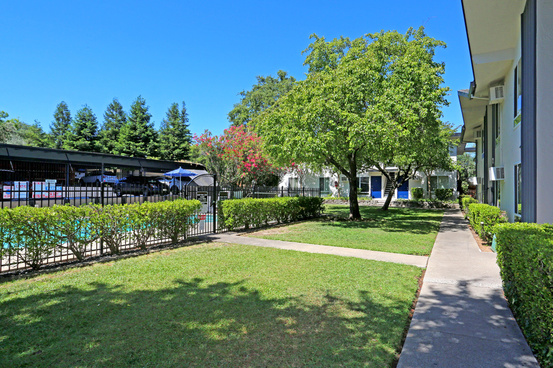 Olive Square Apartments in Carmichael, CA - Building Photo