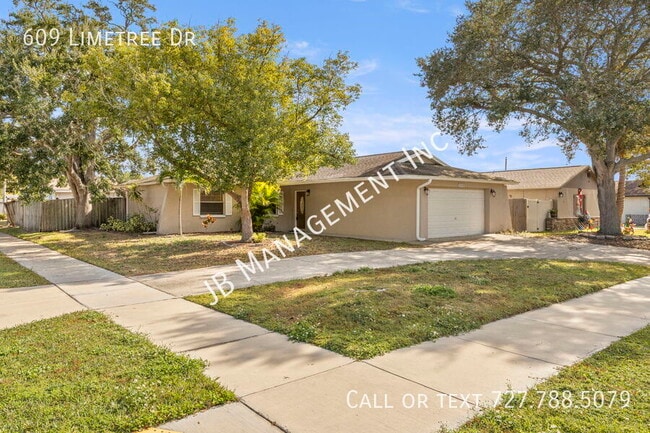 609 Limetree Dr in Oldsmar, FL - Building Photo - Building Photo