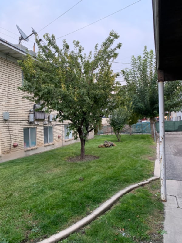 466 E 1300 S in Salt Lake City, UT - Foto de edificio - Building Photo