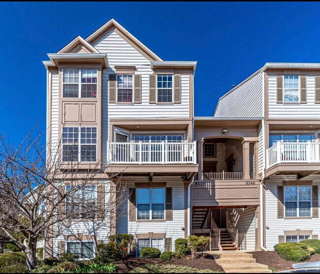8248 Catbird Cir Rentals in Lorton, VA