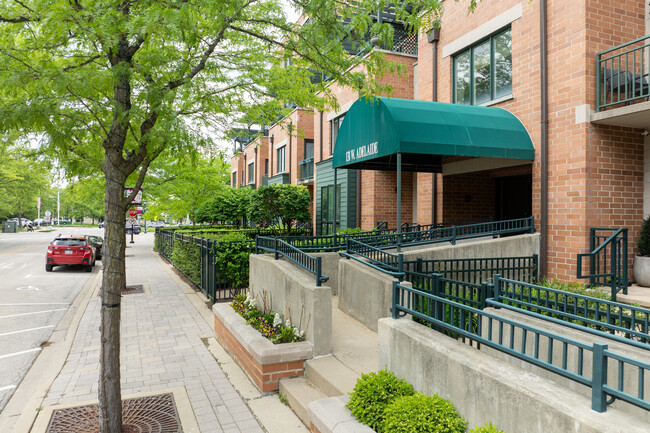 Museum Square in Elmhurst, IL - Foto de edificio - Building Photo