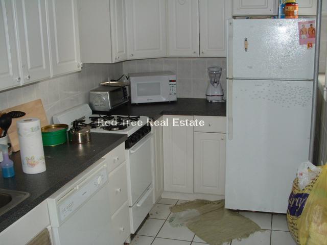 56 Egmont St in Brookline, MA - Foto de edificio