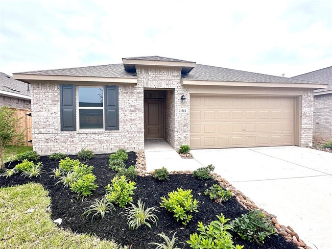 21515 Casavatore Dr in New Caney, TX - Building Photo - Building Photo