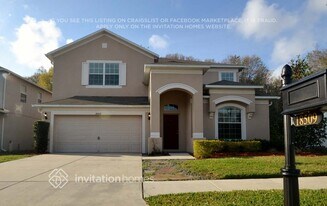 18509 Cypress Bay Pkwy in Land O Lakes, FL - Building Photo
