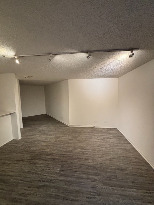 743 N Dearborn St in Chicago, IL - Building Photo - Building Photo