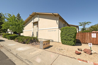 3351 Norton Way in Pleasanton, CA - Foto de edificio - Building Photo