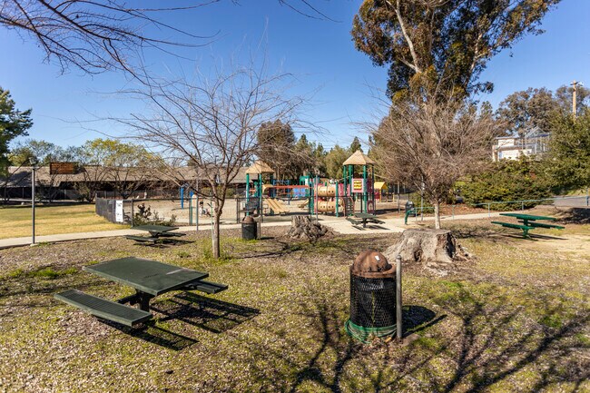 Apartments for rent in Seaside School District 10, OR