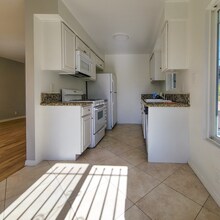1802 Wilton Pl in Los Angeles, CA - Building Photo - Building Photo