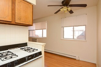 533 W Aldine Ave in Chicago, IL - Building Photo - Building Photo