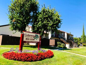 Cedarwood Apartments in Bakersfield, CA - Building Photo - Building Photo