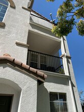 3144 Via Puerta in Carlsbad, CA - Building Photo - Building Photo