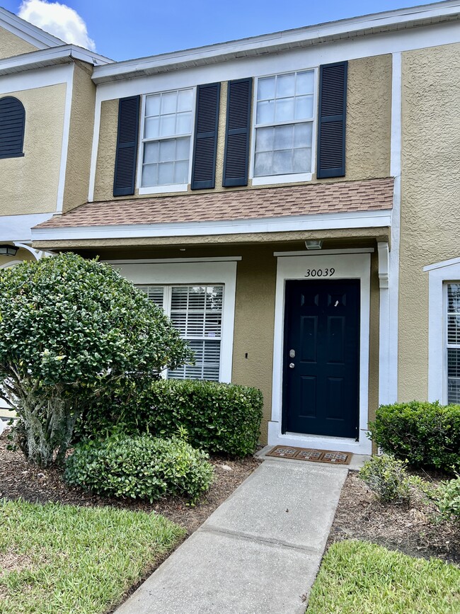 property at 30039 Granda Hills Ct