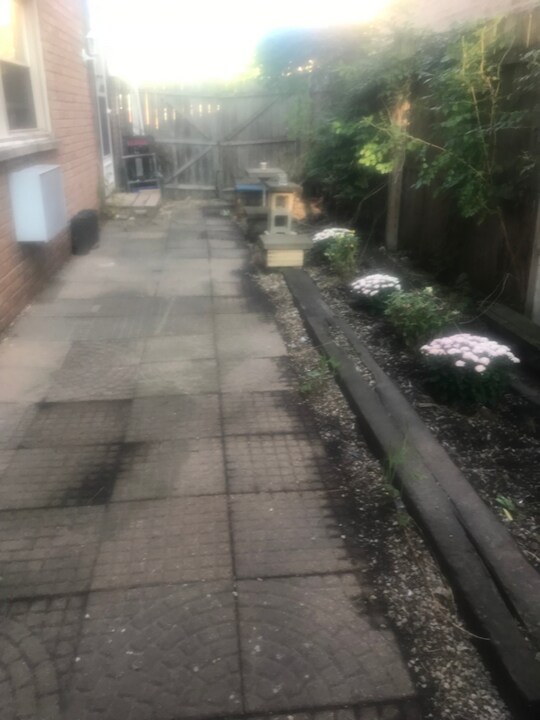 156 Asbury Ave in Evanston, IL - Building Photo