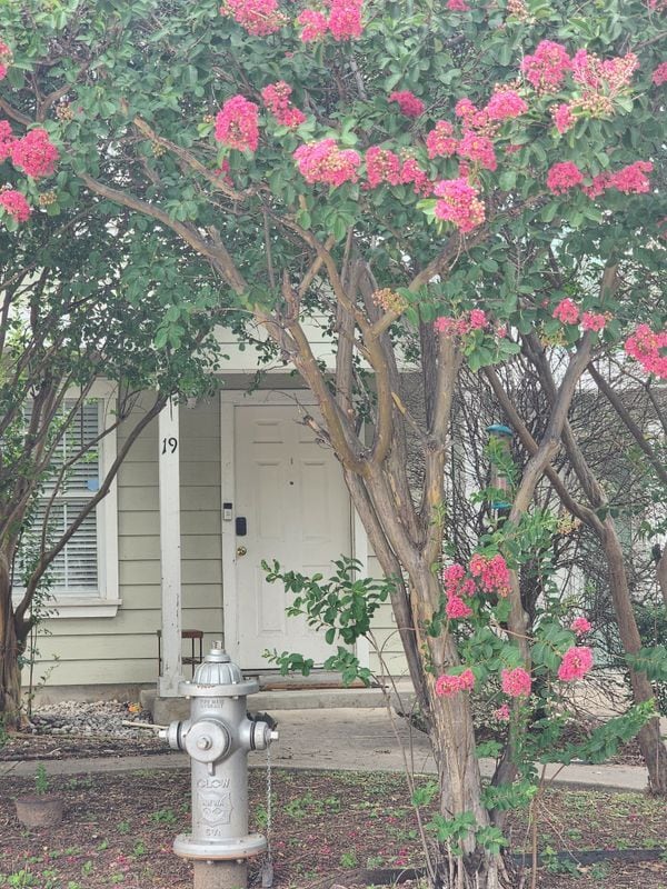 19 Autumn Pass in San Antonio, TX - Building Photo - Building Photo