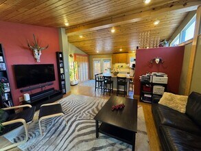 24 Magnum Bonum Dr in Breckenridge, CO - Building Photo - Building Photo