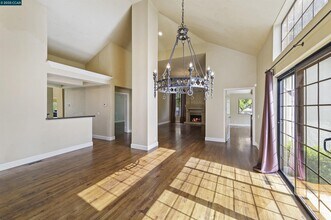 51 Deer Meadow Ln in Danville, CA - Building Photo - Building Photo
