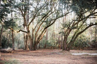 3480 Johan Blvd, Unit 3 in Johns Island, SC - Building Photo - Building Photo