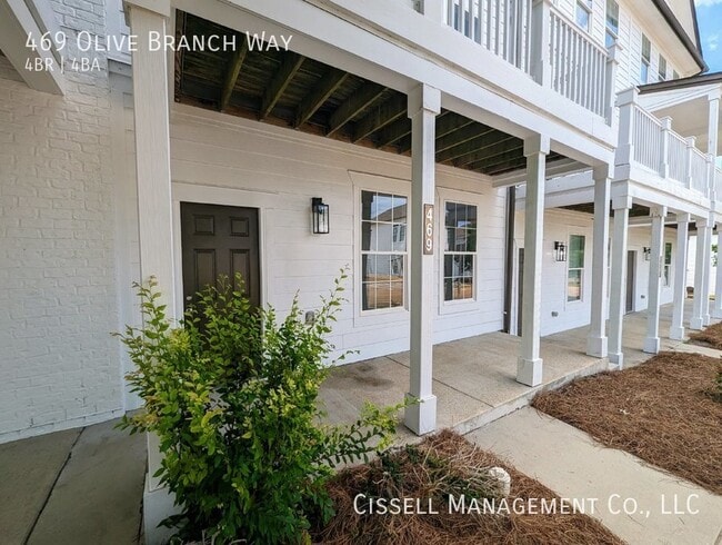 469 Olive Branch Way in Oxford, MS - Building Photo - Building Photo