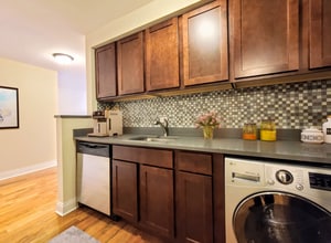 555 W Arlington Pl, Unit 210 in Chicago, IL - Building Photo - Building Photo