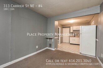 313 Carrier St NE in Grand Rapids, MI - Building Photo - Building Photo