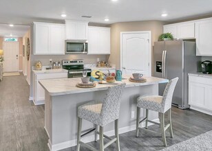 19 Roxland Ln in Palm Coast, FL - Foto de edificio - Building Photo