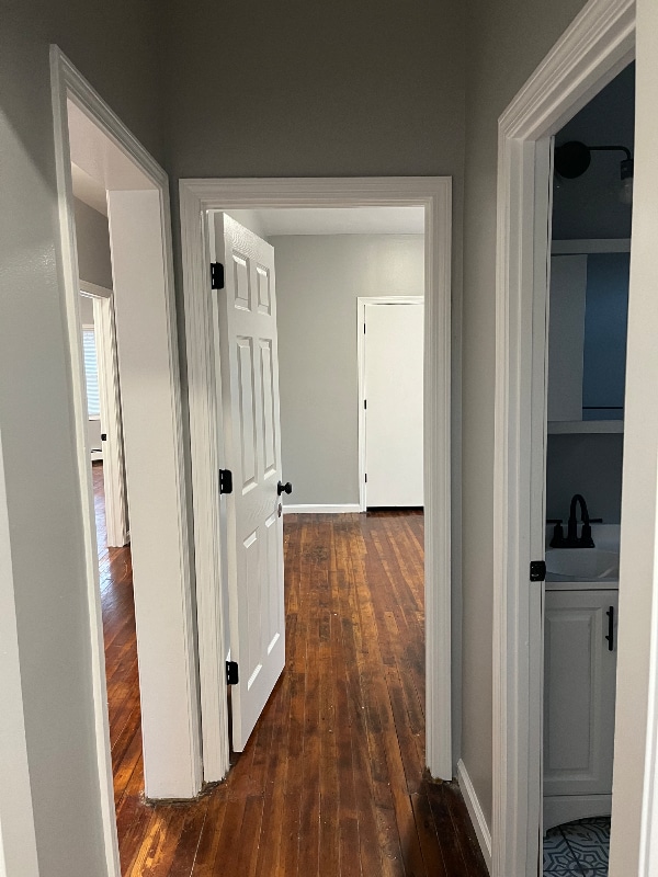 19 Shepard St in New Haven, CT - Building Photo - Building Photo