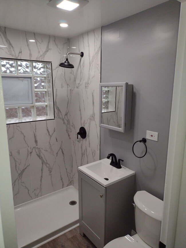 5500 W 55th St in Chicago, IL - Building Photo - Building Photo