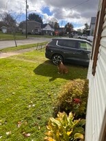 607 N Tionesta Ave in Kane, PA - Building Photo