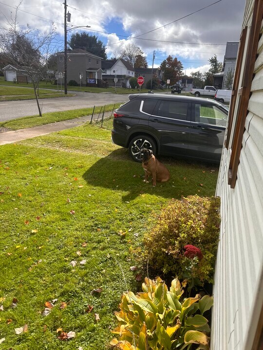 607 N Tionesta Ave in Kane, PA - Building Photo