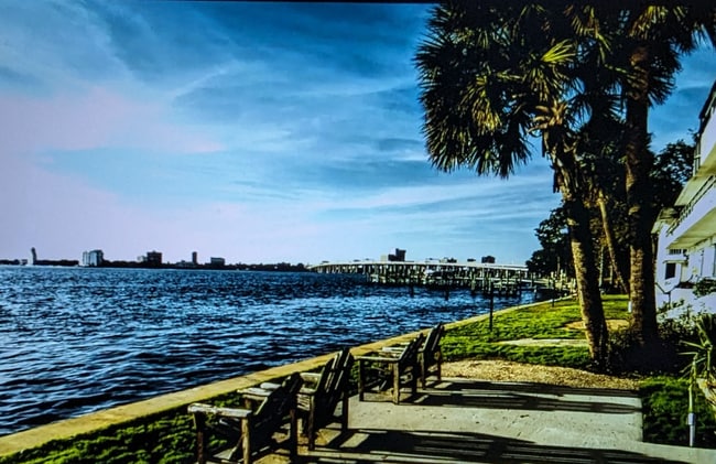 1660 River Rd in Jacksonville, FL - Building Photo - Building Photo