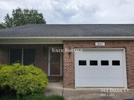 341 Diana Ct in Harrisonburg, VA - Building Photo