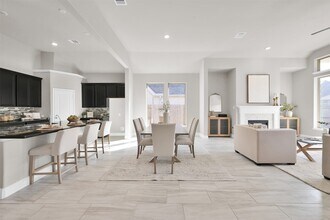 19419 Canter Field Ct in Tomball, TX - Building Photo - Building Photo