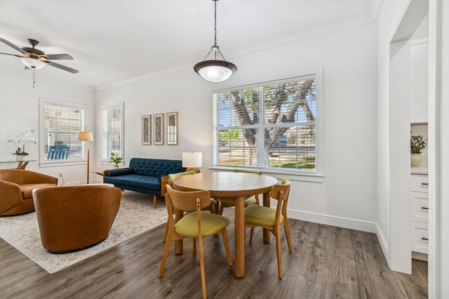 Canopy Walk in Tampa, FL - Foto de edificio - Building Photo