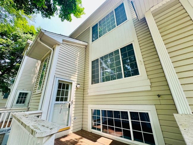 256 W Treehouse Ln in Round Lake, IL - Building Photo - Building Photo