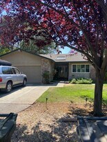 98 Eleanor Ave in Los Altos, CA - Building Photo